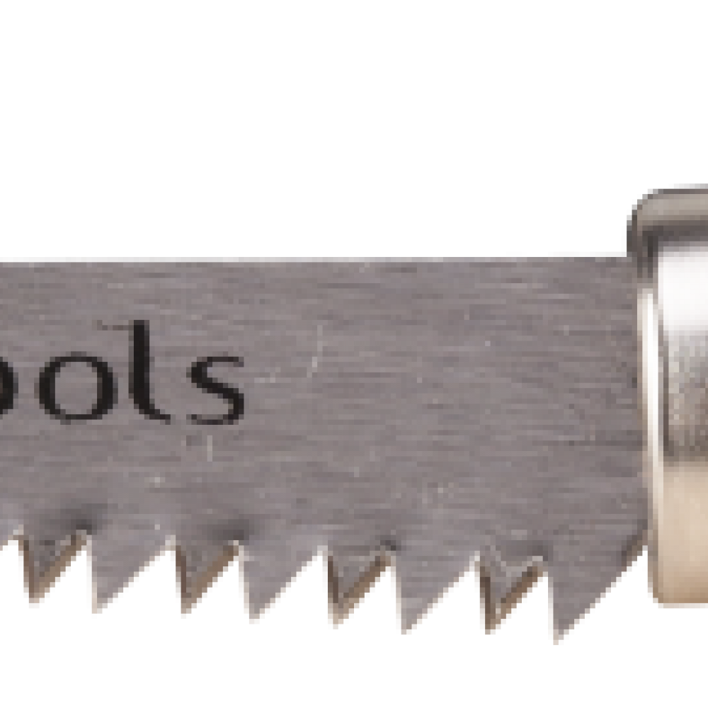 FERASTRAU COADA SORICEL FERASTRAU COADA SORICEL