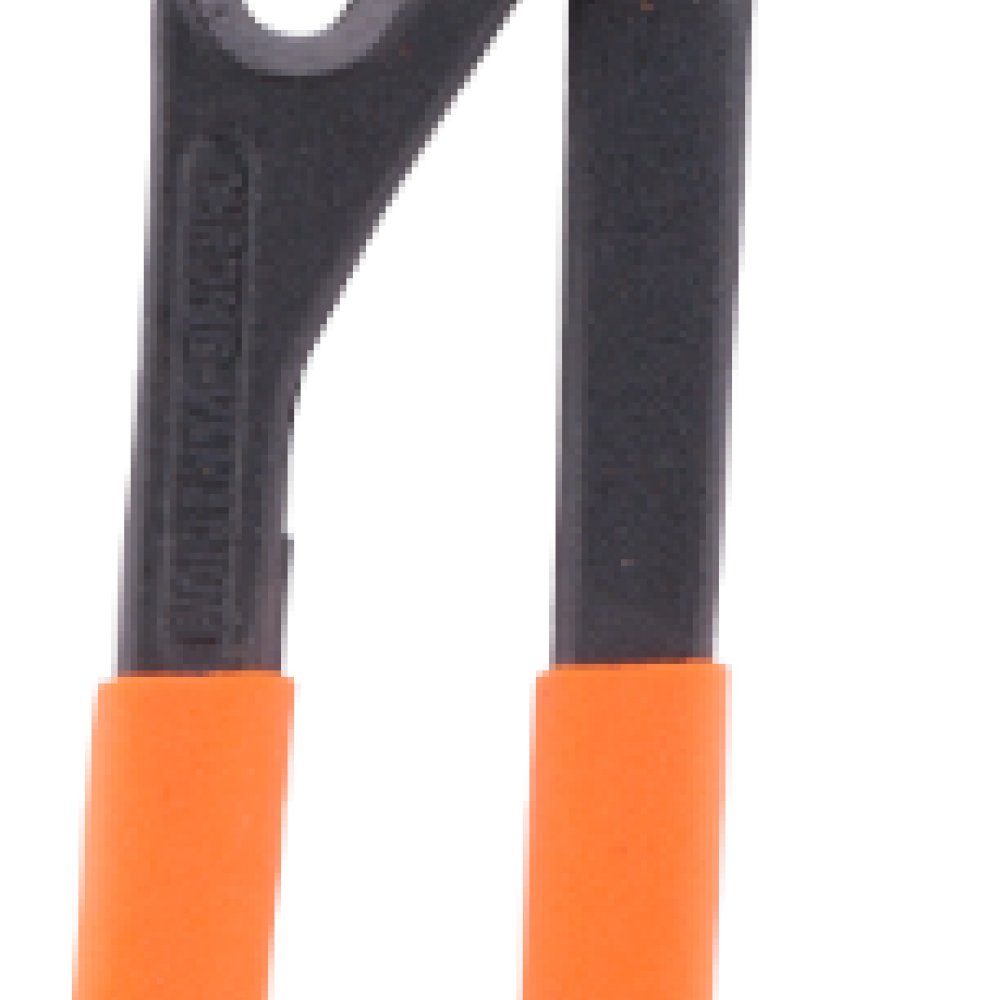 Cleste ETS Papagal, 300mm Cleste ETS Papagal, 300mm