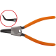 Cleste Indoit-Arbore, 175mm Cleste Indoit-Arbore, 175mm
