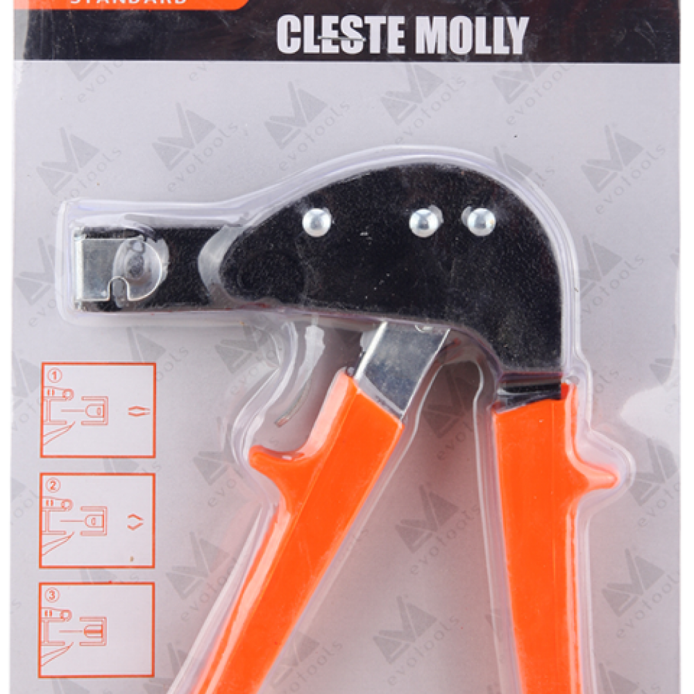 Cleste Molly