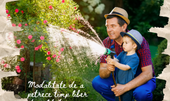 GRADINA DE LEGUME - TIMP LIBER DE CALITATE SI O SOLUTIE PENTRU O SOLUTIE PENTRU UN CORP SI  MINTE SANATOASE