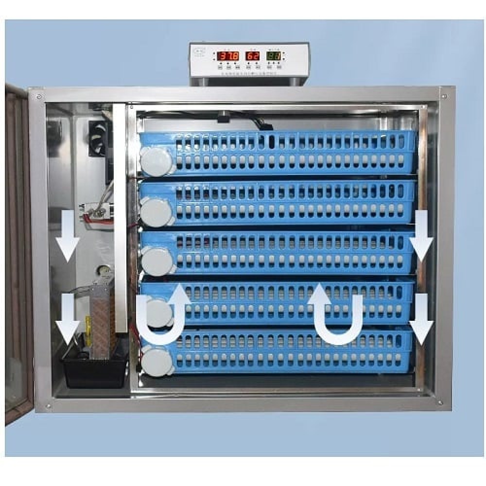 Incubator pentru oua MS-256 (12V 220V)