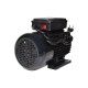 Motor TEHNOMS 3 kW, 50 Hz, 3000 RPM Motor TEHNOMS 3 kW, 50 Hz, 3000 RPM