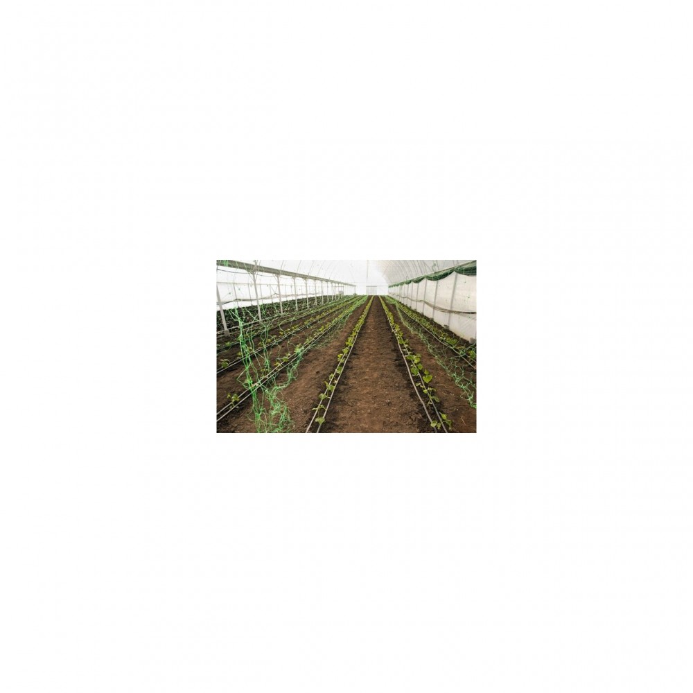 Plasa pvc, pentru urcarea plantelor in cultura castravetilor, 2x10 m
