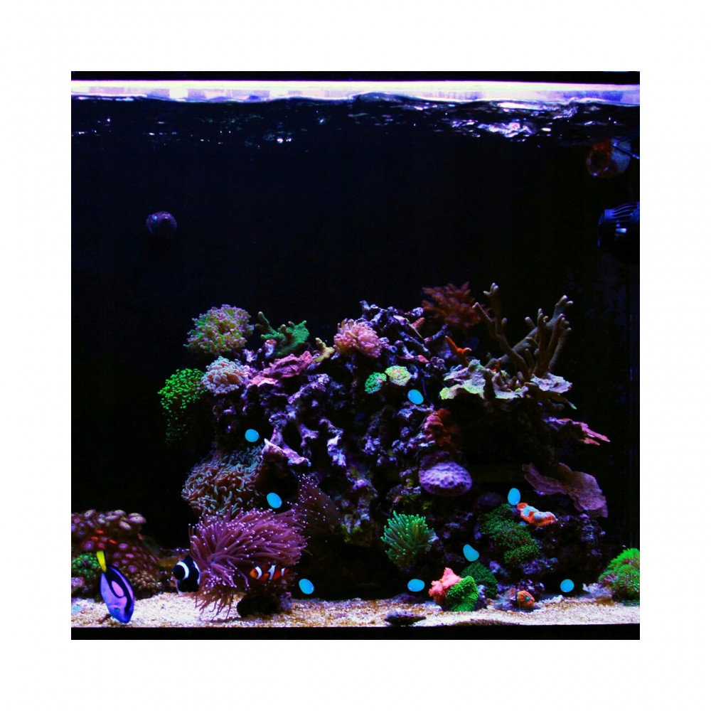 Pietre de gradina, fosforescente, albastre, set 100 buc