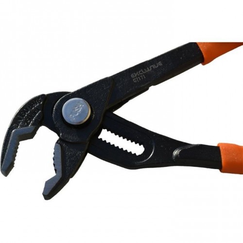 Cleste papagal 300 mm, Richmann Exclusive Cleste papagal 300 mm, Richmann Exclusive