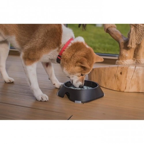 Castron, bol, pentru caine, pisica, suporti antiderapanti,ÃÂ PET reciclat, gri inchis, marime L, 700 ml, 20.4x20.4x5.4 cm