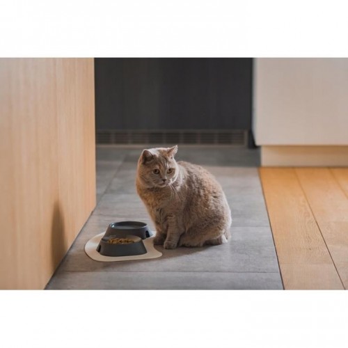 Castron, bol, pentru caine, pisica, suporti antiderapanti,ÃÂ PET reciclat, gri inchis, marime M, 400 ml, 17.2x17.2x4.8 cm