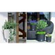 Ghiveci decorativ cu lant, rotund, maro, 25.6x21.9 cm, Rato Round WS Ghiveci decorativ cu lant, rotund, maro, 25.6x21.9 cm, Rato Round WS