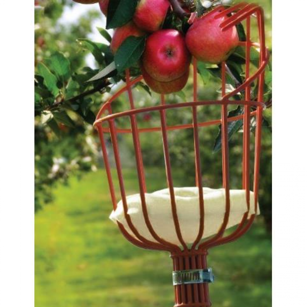 Culegator de fructe metalic, 150 mm, fara coada Culegator de fructe metalic, 150 mm, fara coada