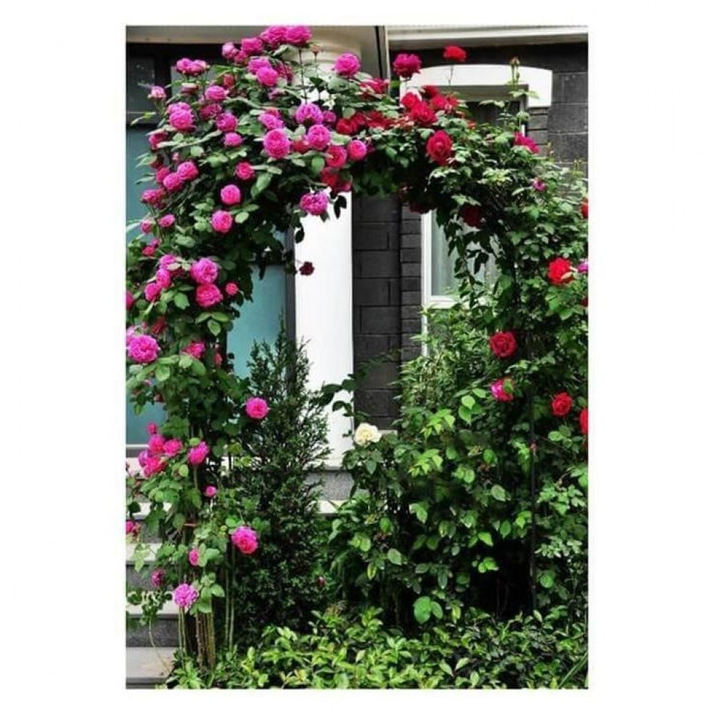 Arcada metalica, pergola, pentru gradina, 140x38x240 cm Arcada metalica, pergola, pentru gradina, 140x38x240 cm