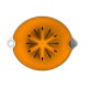 Storcator de citrice Fiskars Functional Form, 174 mm, 160 g