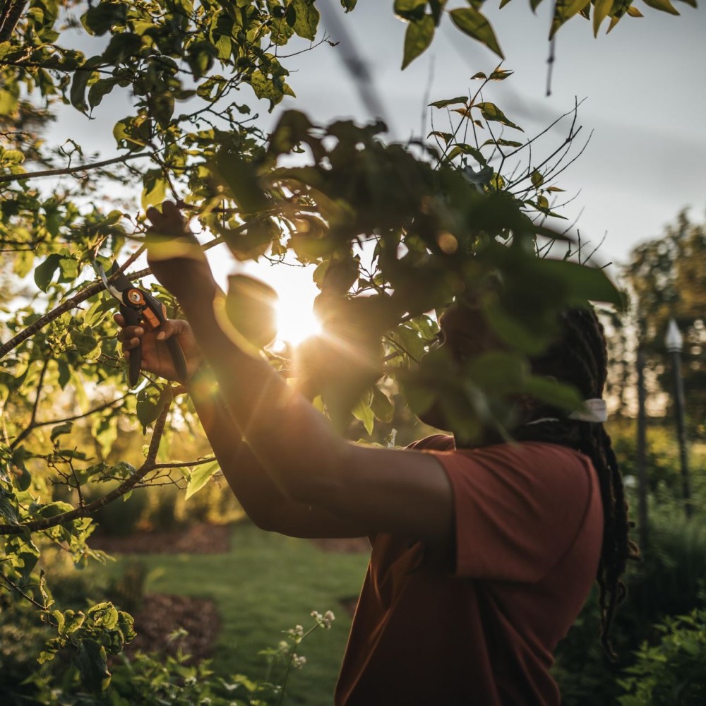 Foarfeca pentru gradina pas cu pas Fiskars Plus (P541)