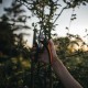 Foarfeca pas cu pas Fiskars Plus (P721)
