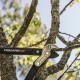 Foarfeca nicovala pentru ramuri groase Fiskars PowerGear L77, L, Ø 50