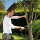 Fierastrau de gradina (L) Xtract SW75 Fiskars