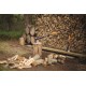 Topor pentru despicat XL_X25 Fiskars